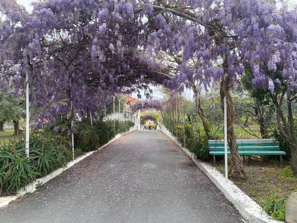 Al Borgo Village Pietra Ligure Εξωτερικό φωτογραφία